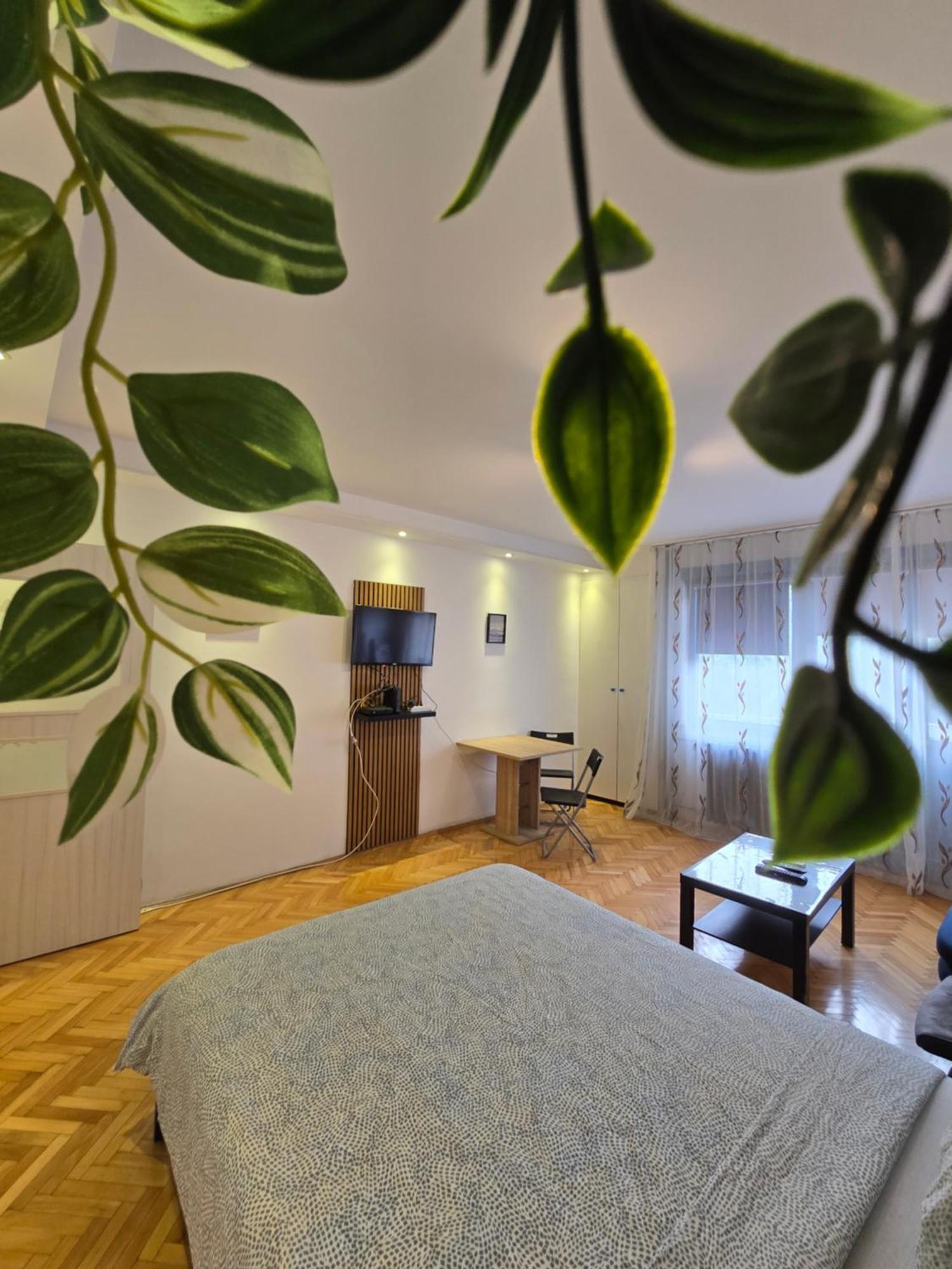 Azzurro Studio Apartment Belgrade Exterior photo